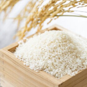 【5kg】令和7年産 山形県産 ひとめぼれ (精米)