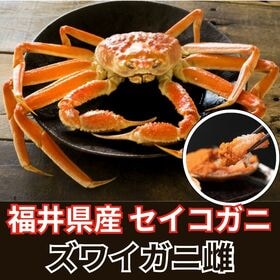【計約300g/約100g×3杯】福井県産 セイコガニ 小サ...