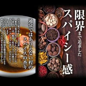 【2食（260g×2袋）】北海道極旨 やわらかチキンスープカレー【B】
