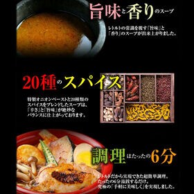 【賞味期限間近】【2食（250g×2袋）】北海道極旨 シーフードスープカレー【B】