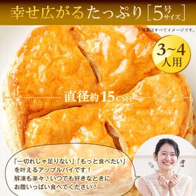 【5号×2個】ゴロゴロりんご溢れる.金のアップルパイ2個セット.【S10】