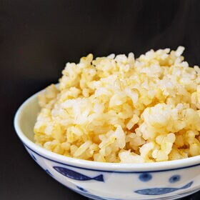 【5kg】令和7年産 山形県産 はえぬき (玄米)