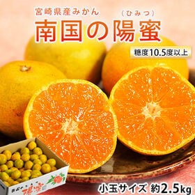 【約2.5kg/糖度10.5度以上】宮崎県産 南国の陽宝（ひほう）極早生 みかん 小玉サイズ | 糖度10.5度以上の秘密のみかん