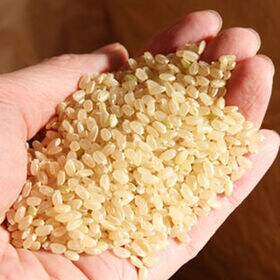 【5kg】令和7年度 山形県産つや姫 （玄米）