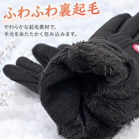 【Mサイズ　ブラック】スマホ対応・防風・保温・滑り止め 裏起毛グローブ