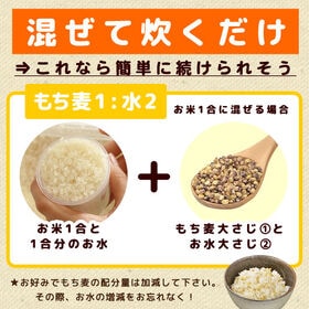 【900g(450g×2)】国産もち麦「ダイシモチ」