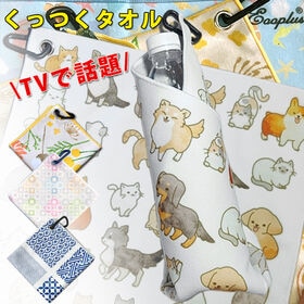 【ワンニャン】Eooplus カラビナ付くっつくタオル