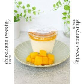 【115g×6個】shirokane sweets TOKYO  白金クリームケーキ（マンゴー）