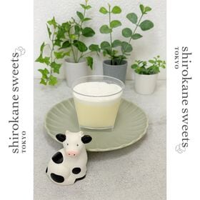 【115g×6個】shirokane sweets TOKY...