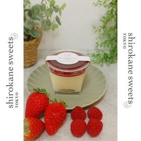 【115g×6個】shirokane sweets TOKYO  白金レアチーズケーキ（ベリー）