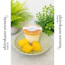 【115g×6個】shirokane sweets TOKYO  白金レアチーズケーキ（マンゴー）