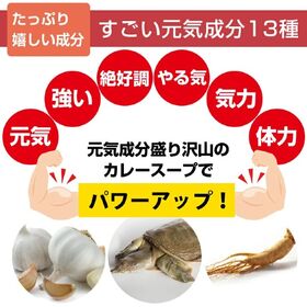 【30包】すごい元気カレースープ