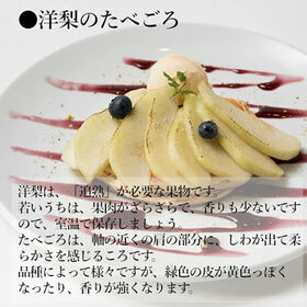 【山形/長野/青森他】1.2kg (4-5玉)　旬の洋梨