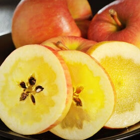 【予約受付】11/24~順次出荷【約2kg/(6~12玉)】青森県産 究極の蜜入りりんご「こみつ」