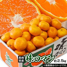【予約受付】11/24~順次出荷【約計5kg/約2.5kg×2箱】長崎県産 極甘みかん 味ロマン