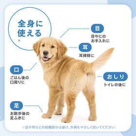 【960枚 (80枚×12個)】Famy ペット用 ウェットティッシュ  ふた付き トイレに流せる