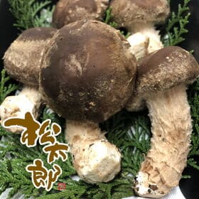 【150g×2パック】マツタケとシイタケのいいとこどり「松太...