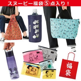 【5点入り】スヌーピーの華やか福袋2026