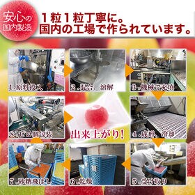 【500g】4種のフルーツペクチンゼリー(個包装)