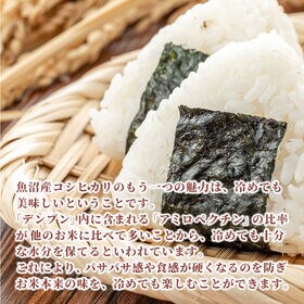 【30kg(5kg×6袋)】魚沼産 コシヒカリ (精白米) 国産 令和7年産