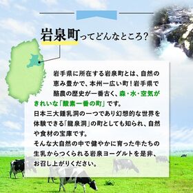 【単品2kg×1袋】加糖・岩泉ヨーグルト　岩手県ご当地グルメ！食感やみつき！ 発酵食品