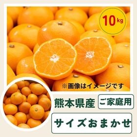 【10kg】熊本みかん サイズおまかせ(ご家庭用)