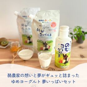 おおのミルク村 夢いっぱいセット！ゆめヨーグルト(加糖 ・プレーン各1袋)+のむヨーグルト750ml