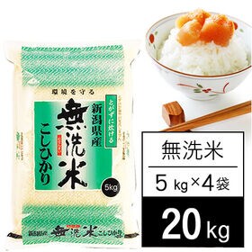 新潟県産 コシヒカリ 無洗米 20kg 送料込み