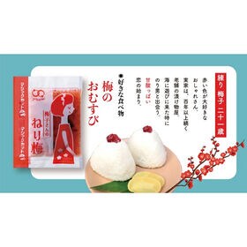 【100食】ねり梅 アミュード 小袋 パック