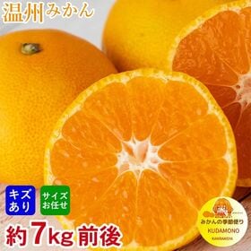 【予約受付】11/1~順次出荷【約7kg前後】厳選 温州みかん(傷あり)