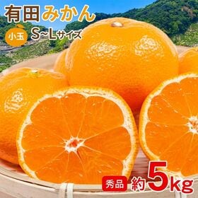 【予約受付】11/5~順次出荷【約5kg/S~Lサイズ】《秀品》和歌山県産 有田みかん