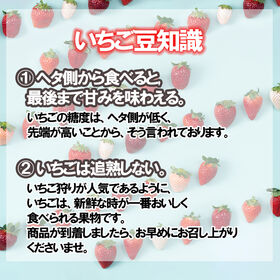 【予約受付】11月下旬~順次出荷【福岡】6パック　あまおう苺デラックス