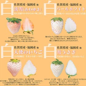 【予約受付】12月上旬~順次出荷【福岡・佐賀他】4パック　紅白苺（あまおう＆白いちご）