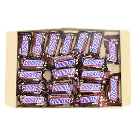 スニッカーズミニ【20コ】