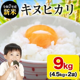 【計9kg(4.5kg×2)】熊本県産 キヌヒカリ 白米 | シルクのような輝き！