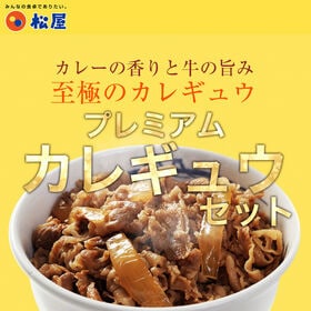 【松屋/2種類計10食】カレーギュウセット10個セット（プレミアム仕様牛めしの具&オリジナルカレー）