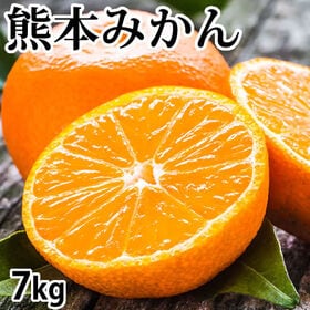 【予約受付】10/9~順次出荷【7kg】熊本みかん  極早生...