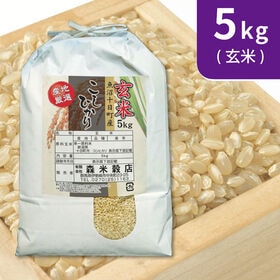 【5kg×1袋】令和7年産 新米 【玄米】 魚沼十日町産コシ...