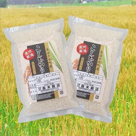 【450g×2袋】令和7年産 新米 魚沼十日町産コシヒカリ