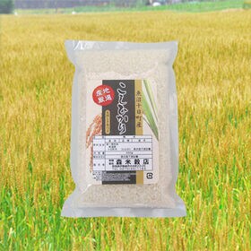 【450g×1袋】令和7年産 新米  魚沼十日町産コシヒカリ