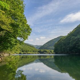 【 1.1L×24本】岩手の名水 仙人秘水　釜石鉱山ナチュラルミネラルウォーター　宅配便2個口配送