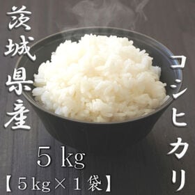 【5kg】新米 [精米] 令和7年産 茨城県産コシヒカリ 白米