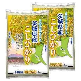 【計10kg/5kg×2袋】[精米] 令和7年産 茨城県産コシヒカリ 白米