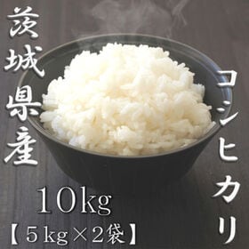 【計10kg/5kg×2袋】[精米] 令和7年産 茨城県産コシヒカリ 白米