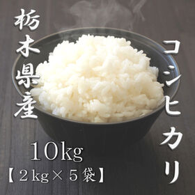 【計10kg/2kg×5袋】新米 [精米]令和7年産 栃木県産コシヒカリ 白米