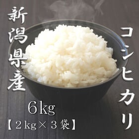 【計6kg(2kg×3袋)】新米 [精米] 令和7年産 新潟県産コシヒカリ 白米