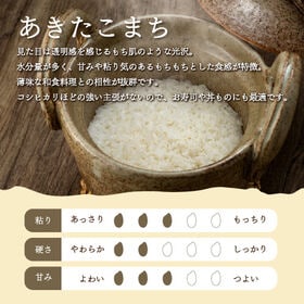 【計10kg/5kg×2袋】新米 [精米] 令和7年産 秋田県産 あきたこまち 無洗米
