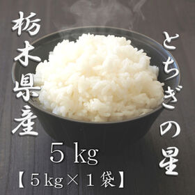 【5kg】新米 [精米]令和7年産 栃木県産とちぎの星 白米