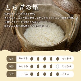【計15kg/5kg×3袋】新米 [精米]令和7年産 栃木県産とちぎの星 白米