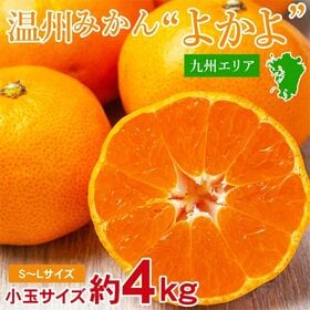 【約4kg/S~Lサイズ】九州みかんよかよ♪  九州産温州みかん厳選 小玉